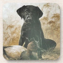 Search for decoy Labrador