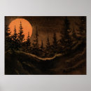Search for nocturnal posters Nature