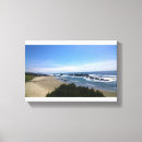 Search for seals canvas prints Beach