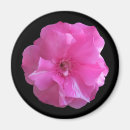 Search for blossoms magnets Tree