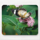 Search for leopard mousepads Nature