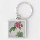 Search for redoute key rings Illustration