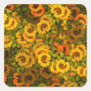 Search for field stickers Autumn