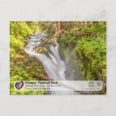 Search for sol postcards Sol duc falls
