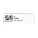 Search for deer labels Winter