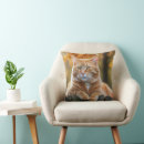 Search for ginger cat cushions Feline