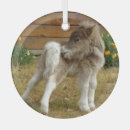 Search for pony christmas tree decorations Wild