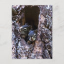 Search for cute christian postcards Christianity
