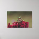 Search for wild one canvas prints Wildlife