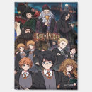 Search for harry potter magnets Witch
