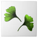 Search for ginkgo leaves tiles Botanical