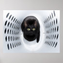 Search for funny laundry posters Cat