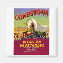 Search for vegetable crates magnets Moffa