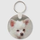 Search for white dog key rings Adorable