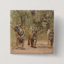 Search for track badges Animal
