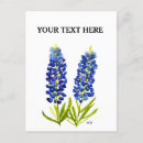 Search for texas bluebonnet postcards Lupine