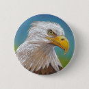 Search for wildlife badges Raptor