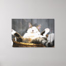 Search for bed canvas prints Animal
