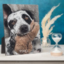 Search for dog plaques Cute
