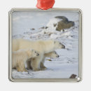 Search for change christmas tree decorations Winter