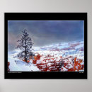Search for pines art Mountains