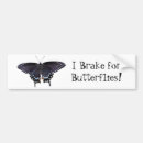 Search for eastern bumper stickers Swallowtail