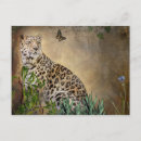 Search for horizontal pattern postcards Wildlife