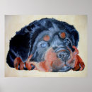 Search for cute rottweiler posters Animal