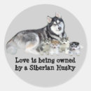 Search for husky puppy stickers Puppies