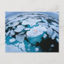 Search for arctic ocean Winter