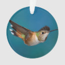 Search for ornithology christmas tree decorations Hummingbird
