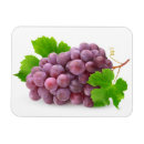 Search for grape vines magnets Red