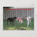 Search for heartstrings Animal