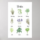 Search for herbs and spices posters Watercolor