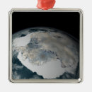 Search for antarctica christmas tree decorations Frozen
