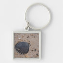 Search for scallops key rings Sand