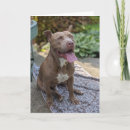 Search for good dog cards Friend
