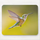 Search for bird feeding mousepads Young