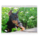 Search for puppy calendars 2012