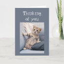 Search for think pet supplies Funny