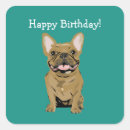 Search for french bulldog mom stickers Birthday