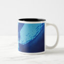 Search for cozumel mugs Habitat