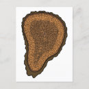 Search for trunks postcards Tree bark