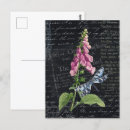 Search for antique butterfly illustration postcards Pink