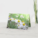 Search for saying hello cards How are you