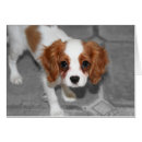 Search for ckc postcards Cute