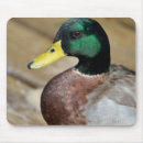 Search for bird portrait mousepads Wings