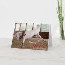 Search for bucks party invitations Horse