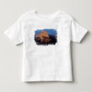 Search for rock formation tshirts National park