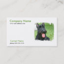 Search for scottish business cards Terrier